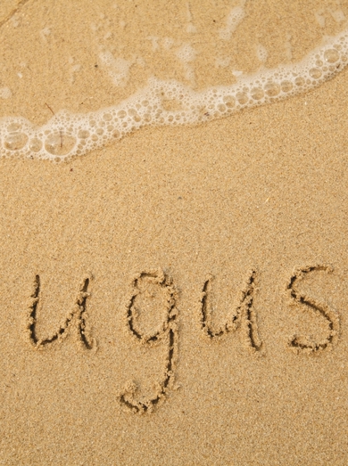 Shutterstock 2152098053