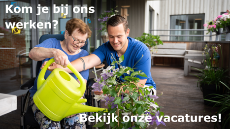 Planning Advies (11)